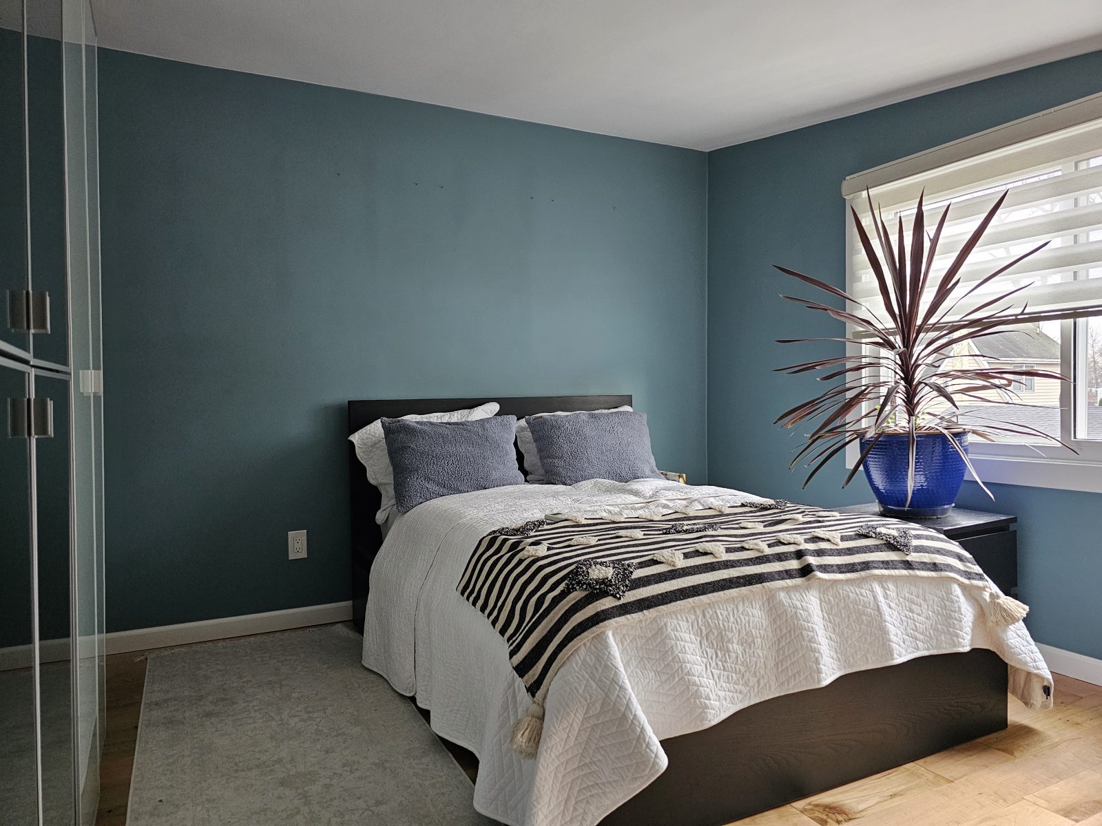 Interior Painting at Beauty Walls and Floor